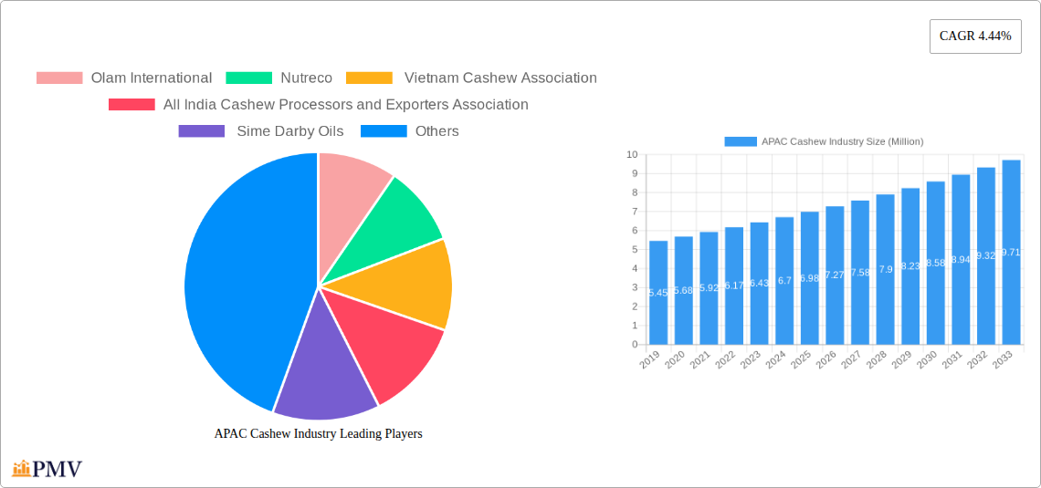 APAC Cashew Industry Research Report - Market Overview and Key Insights