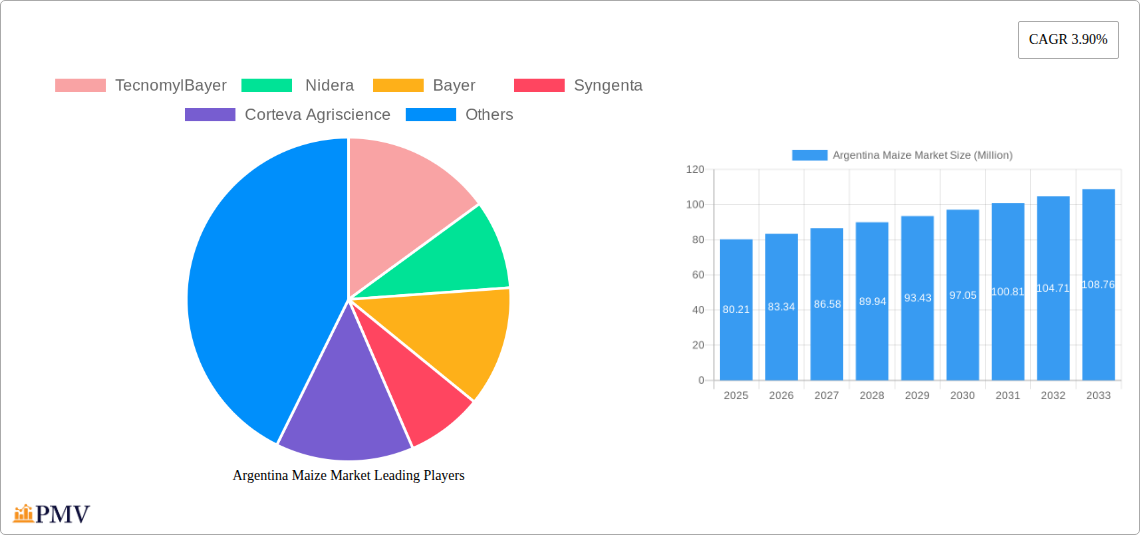 Argentina Maize Market Research Report - Market Overview and Key Insights