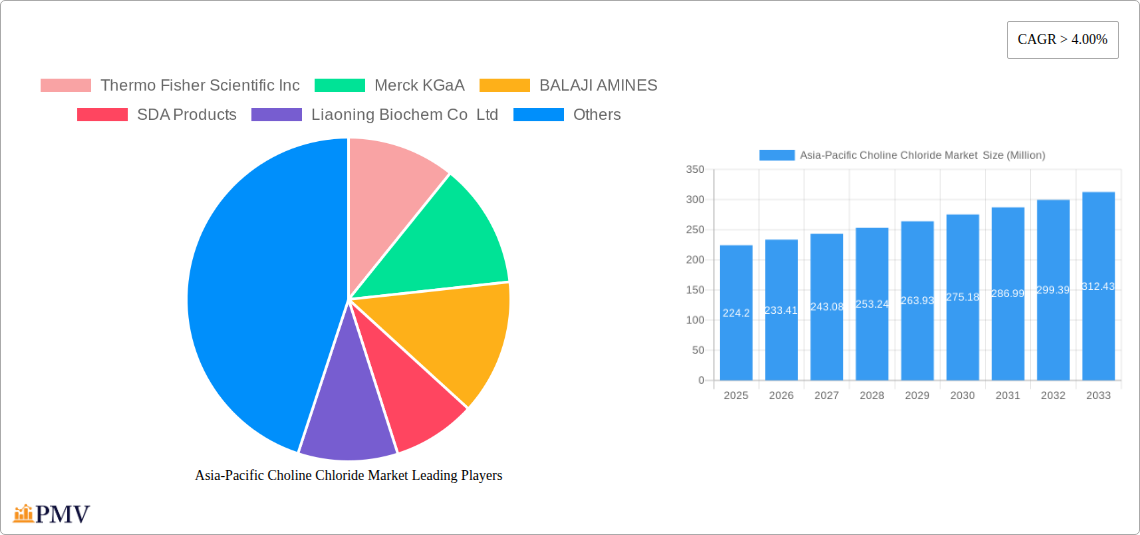 Asia-Pacific Choline Chloride Market  Research Report - Market Overview and Key Insights