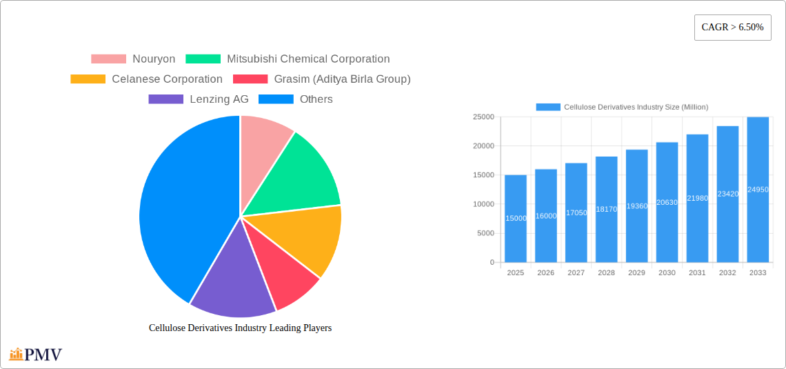 Cellulose Derivatives Industry Research Report - Market Overview and Key Insights