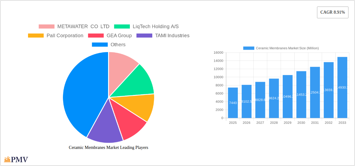 Ceramic Membranes Market Research Report - Market Overview and Key Insights