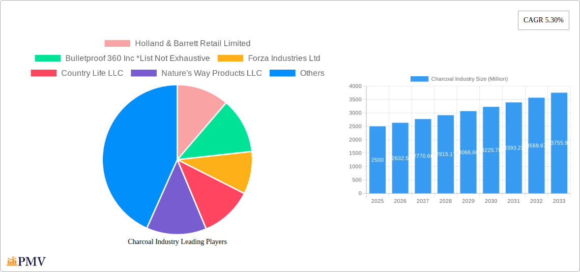 Charcoal Industry Research Report - Market Overview and Key Insights