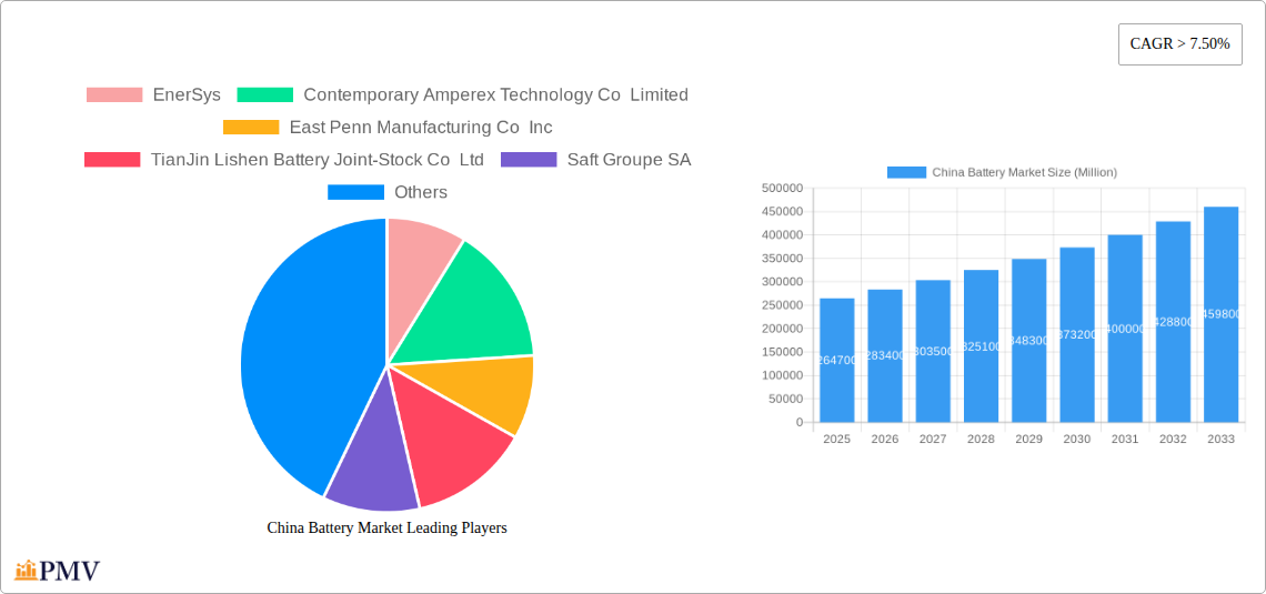 China Battery Market Research Report - Market Overview and Key Insights