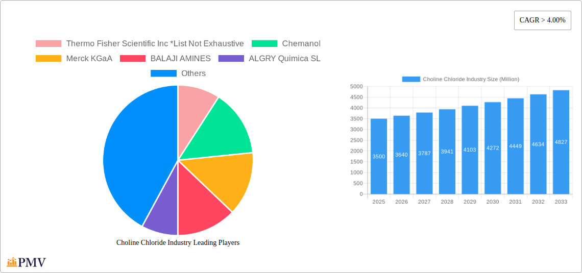 Choline Chloride Industry Research Report - Market Overview and Key Insights