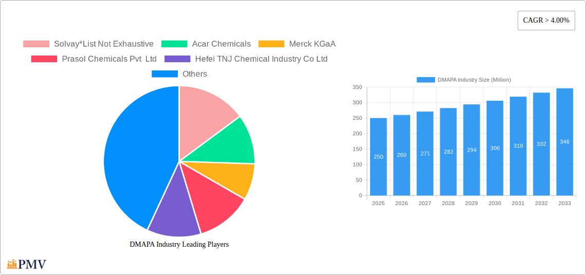 DMAPA Industry Research Report - Market Overview and Key Insights