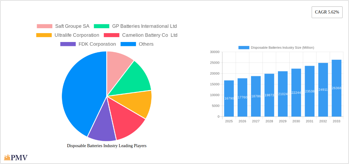 Disposable Batteries Industry Research Report - Market Overview and Key Insights