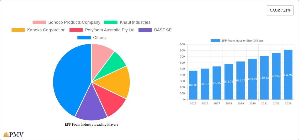 EPP Foam Industry Research Report - Market Overview and Key Insights