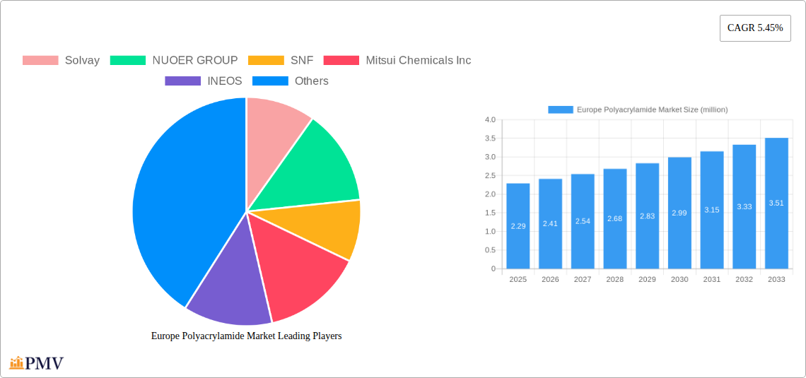Europe Polyacrylamide Market Research Report - Market Overview and Key Insights