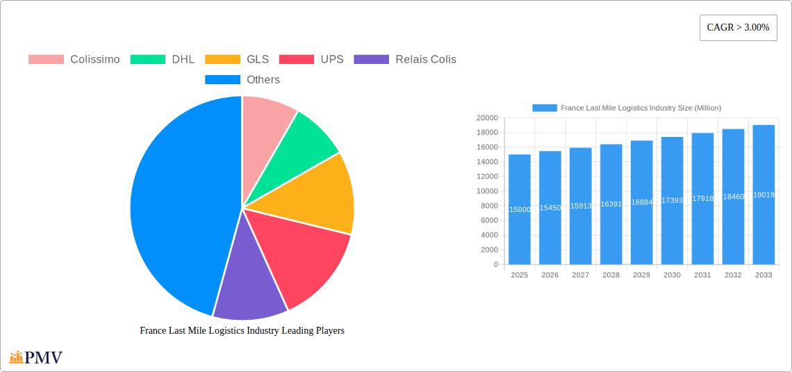 France Last Mile Logistics Industry Research Report - Market Overview and Key Insights