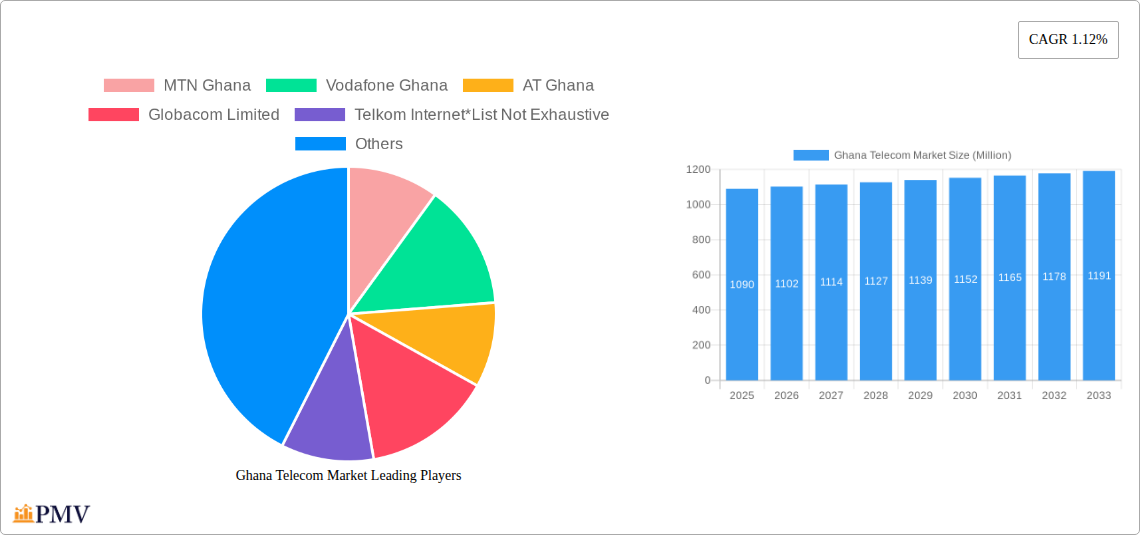 Ghana Telecom Market Research Report - Market Overview and Key Insights