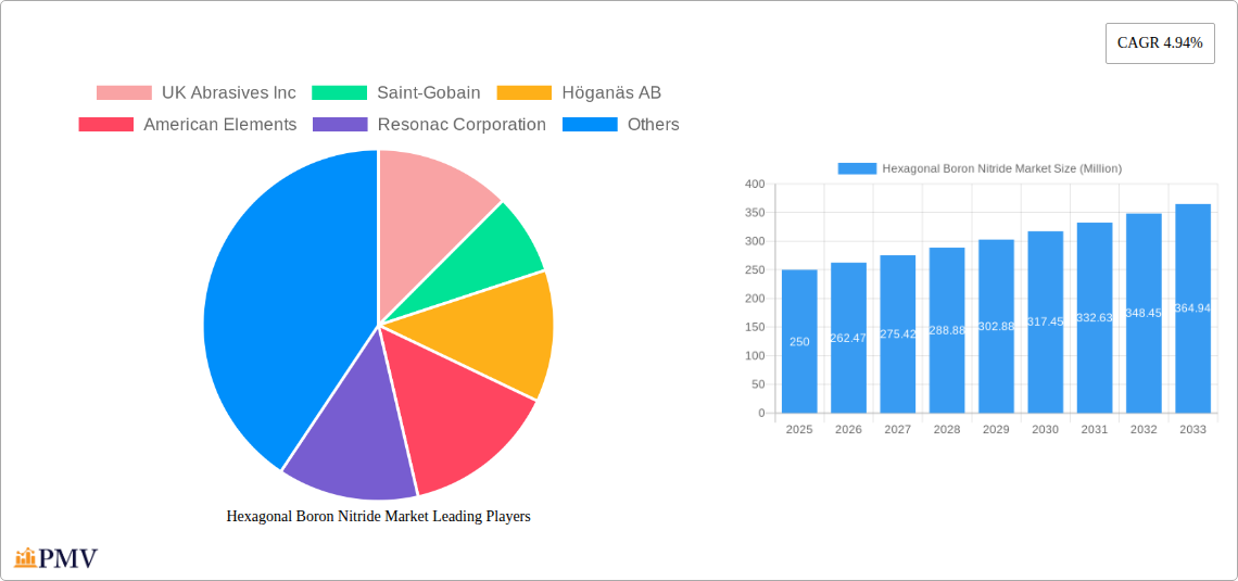 Hexagonal Boron Nitride Market Research Report - Market Overview and Key Insights