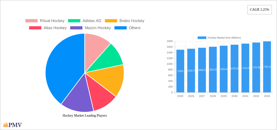 Hockey Market Research Report - Market Overview and Key Insights