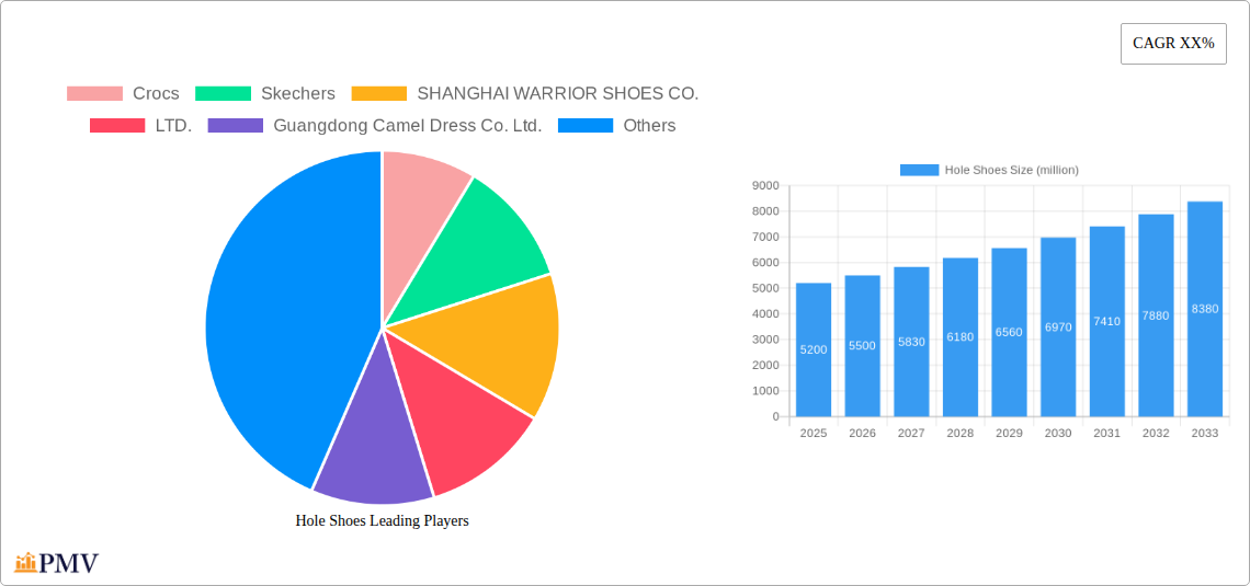 Hole Shoes Research Report - Market Overview and Key Insights