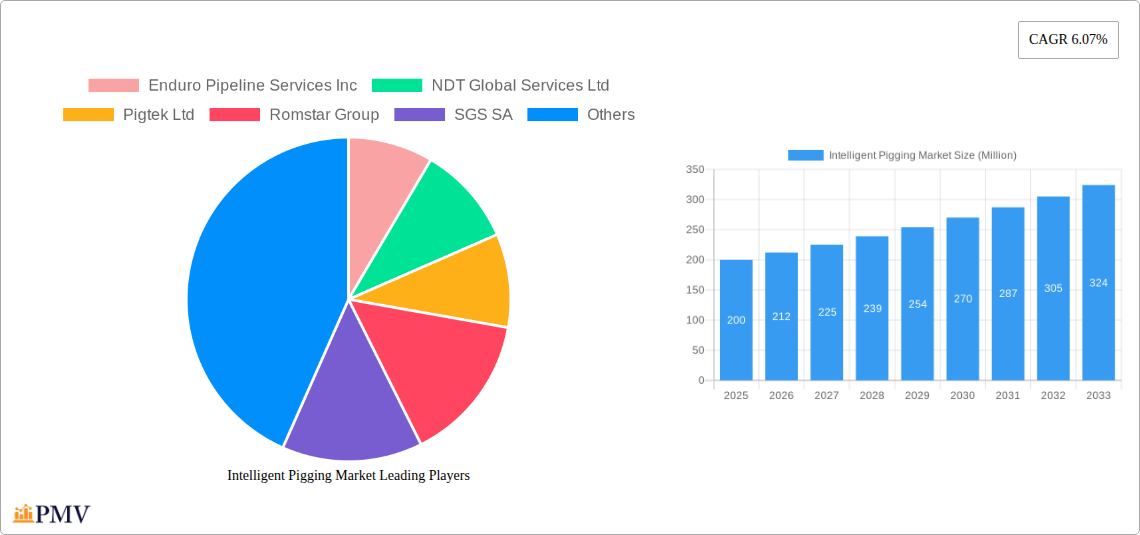 Intelligent Pigging Market Research Report - Market Overview and Key Insights