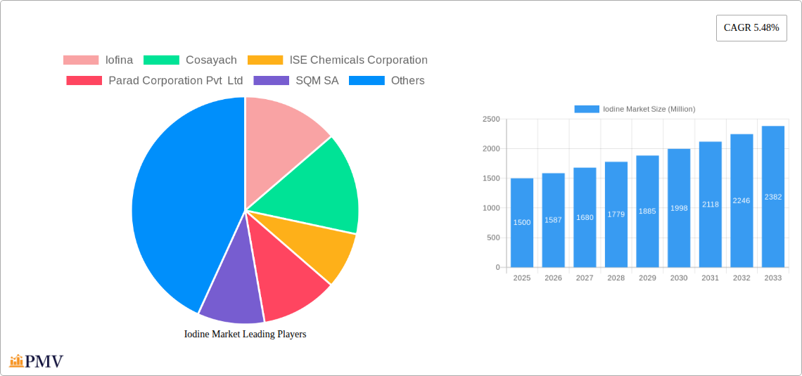 Iodine Market Research Report - Market Overview and Key Insights