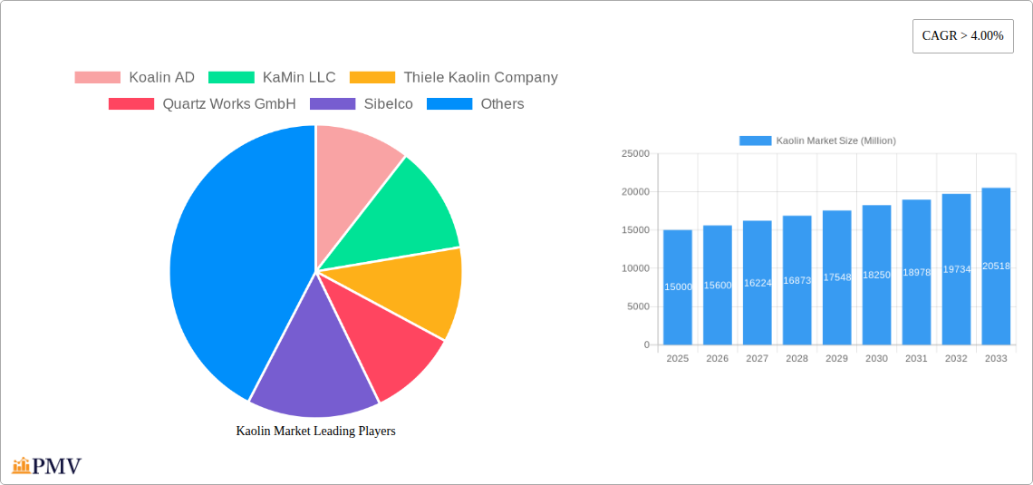 Kaolin Market Research Report - Market Overview and Key Insights