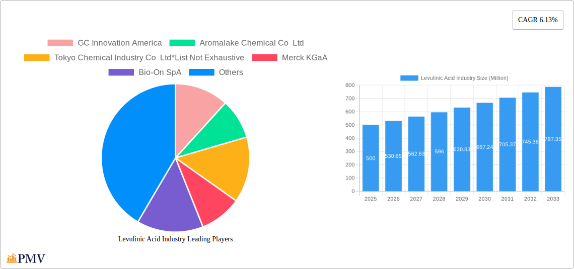 Levulinic Acid Industry Research Report - Market Overview and Key Insights