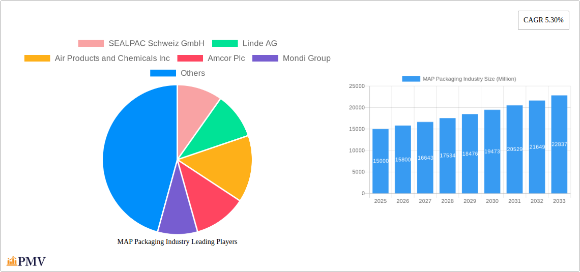 MAP Packaging Industry Research Report - Market Overview and Key Insights