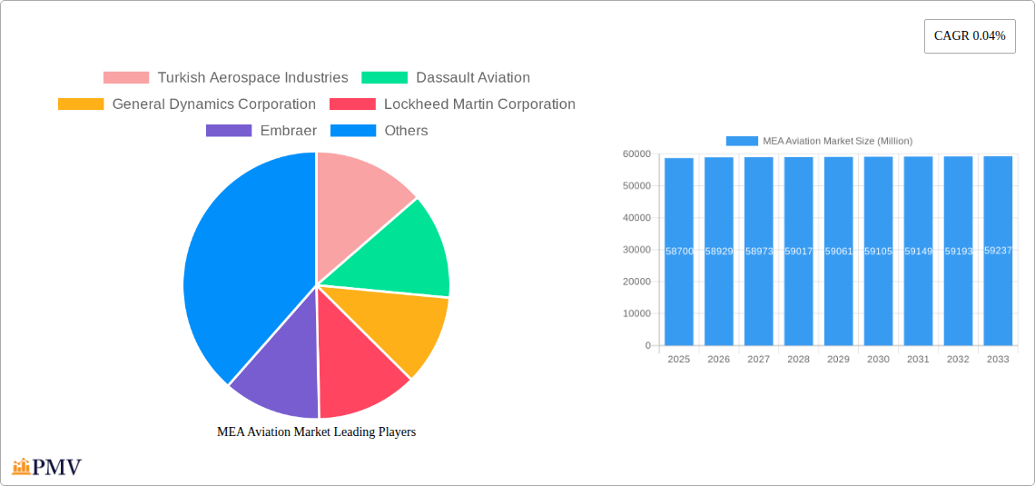 MEA Aviation Market Research Report - Market Overview and Key Insights