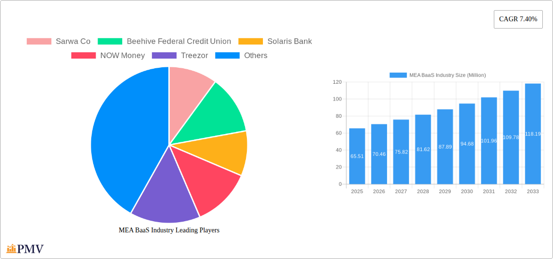 MEA BaaS Industry Research Report - Market Overview and Key Insights