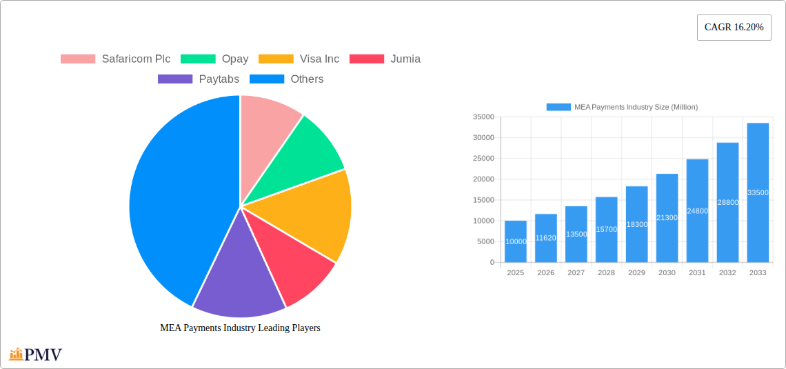 MEA Payments Industry Research Report - Market Overview and Key Insights