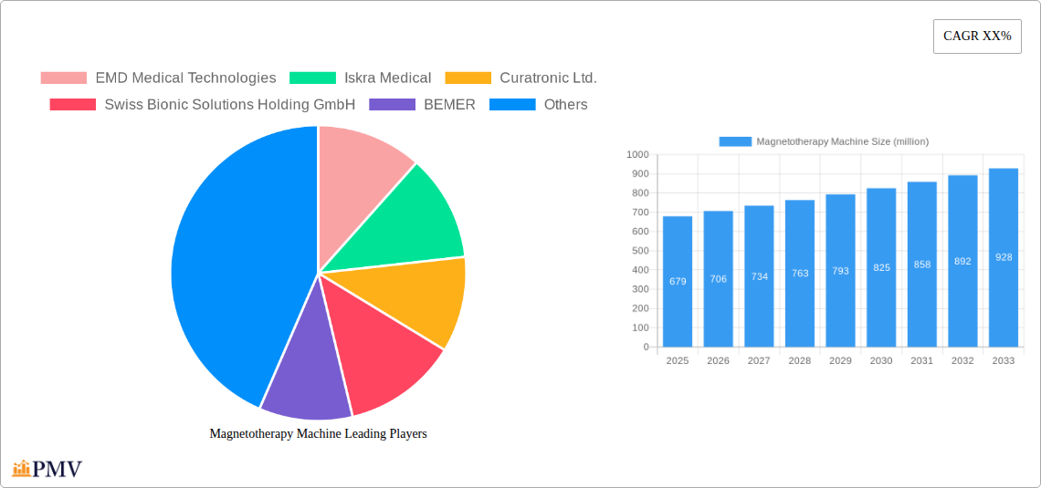 Magnetotherapy Machine Research Report - Market Overview and Key Insights