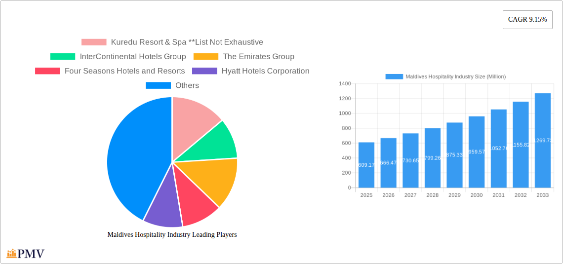 Maldives Hospitality Industry Research Report - Market Overview and Key Insights
