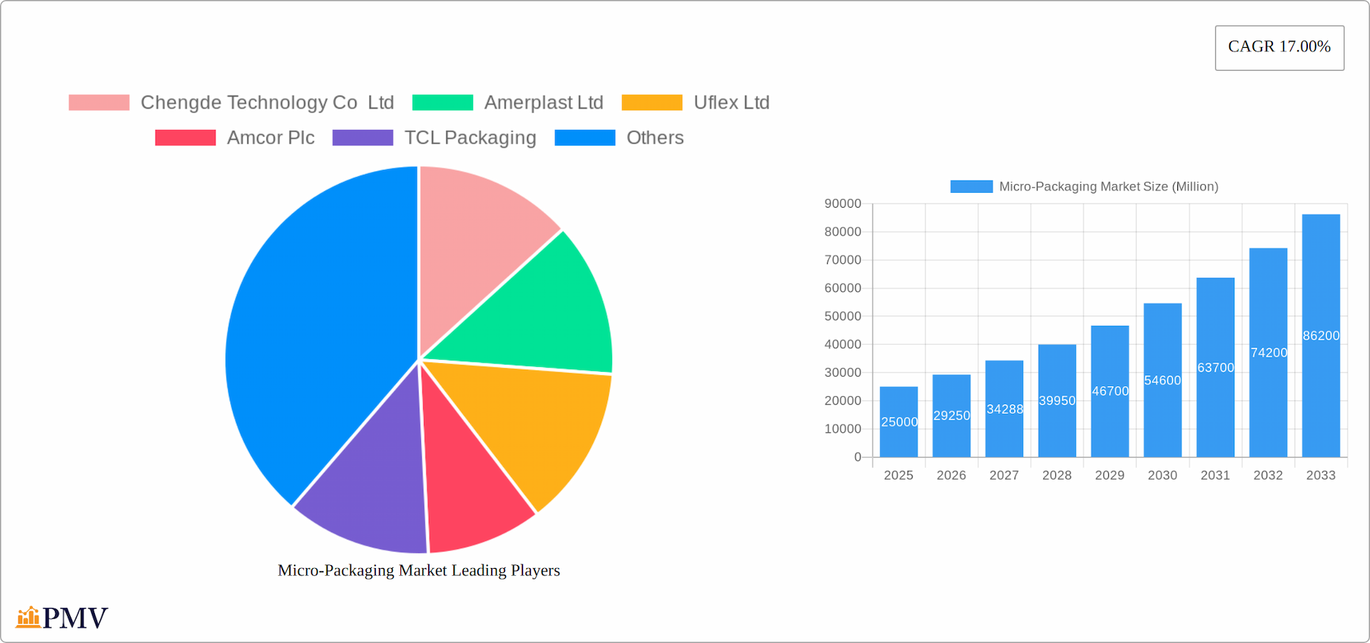 Micro-Packaging Market Research Report - Market Overview and Key Insights