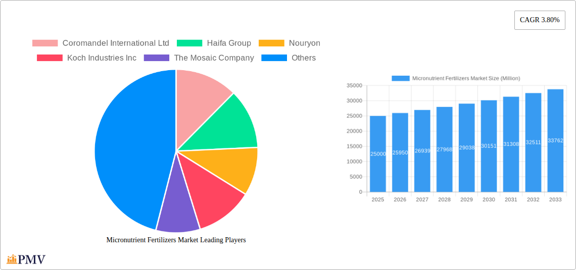 Micronutrient Fertilizers Market Research Report - Market Overview and Key Insights