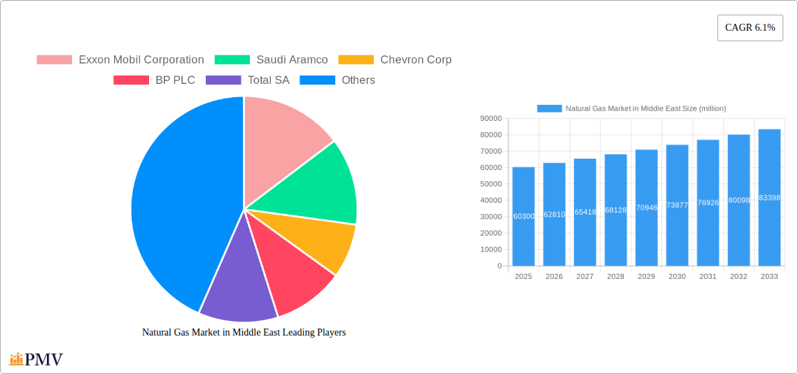 Natural Gas Market in Middle East Research Report - Market Overview and Key Insights