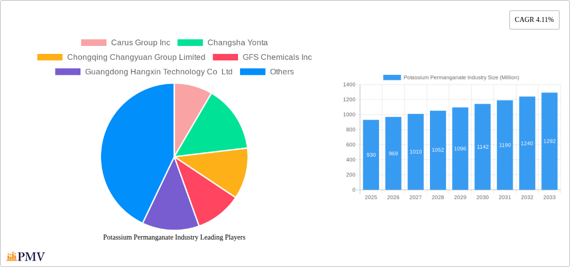 Potassium Permanganate Industry Research Report - Market Overview and Key Insights