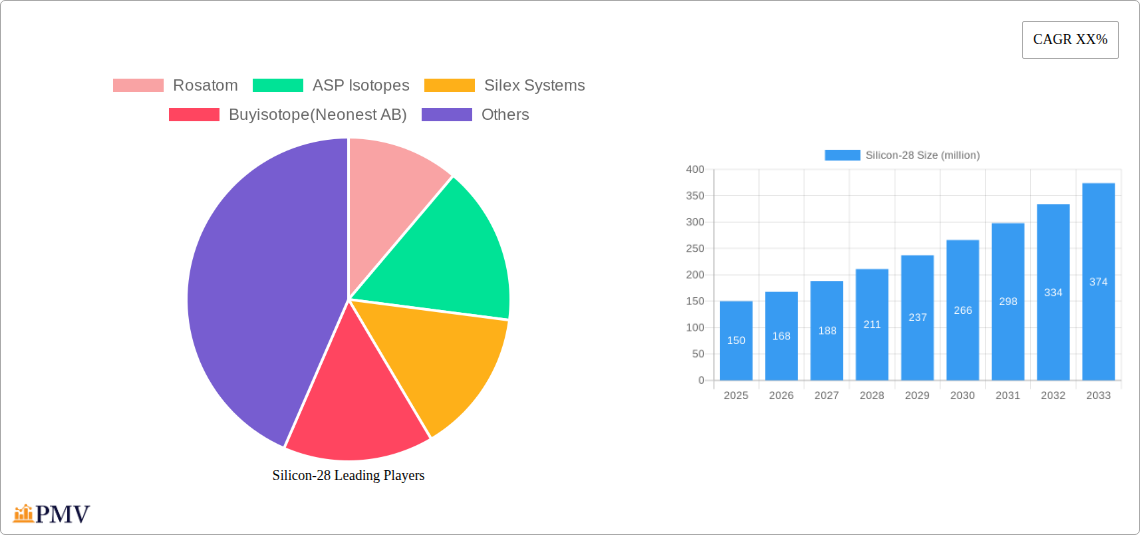 Silicon-28 Research Report - Market Overview and Key Insights