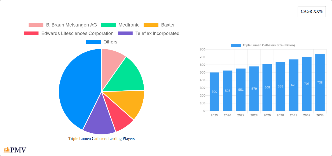 Triple Lumen Catheters Research Report - Market Overview and Key Insights