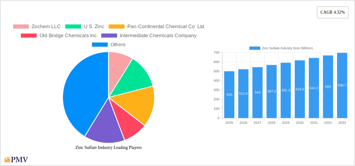 Zinc Sulfate Industry Research Report - Market Overview and Key Insights
