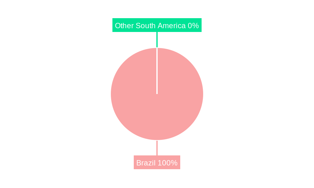 Brazilian Die Casting Market Market Share by Region - Global Geographic Distribution