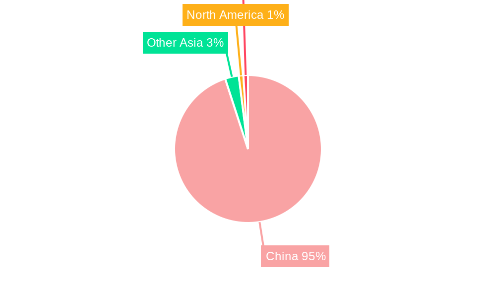 China Real Time Payments Industry Market Share by Region - Global Geographic Distribution