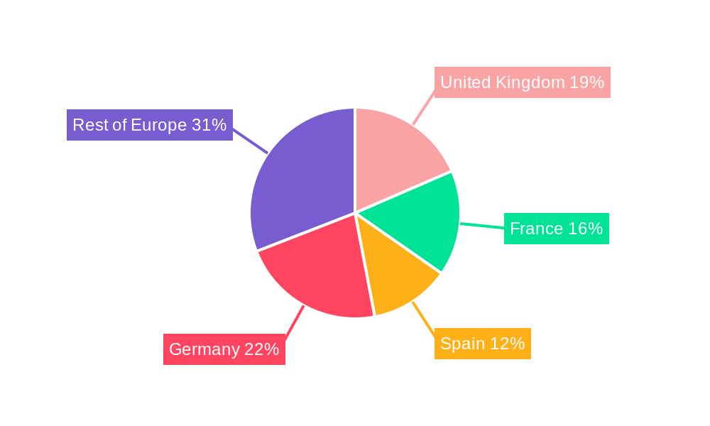 Europe Bioenergy Market Market Share by Region - Global Geographic Distribution