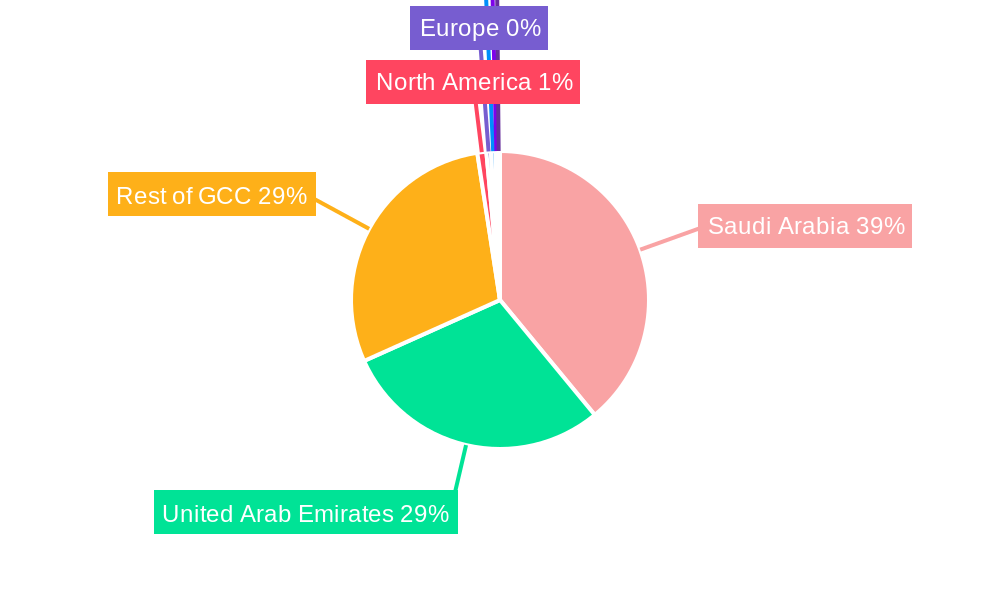GCC Plastic Packaging Market Market Share by Region - Global Geographic Distribution