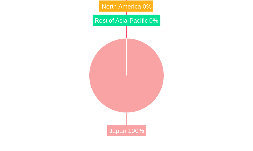 Japan Beauty Industry Market Share by Region - Global Geographic Distribution