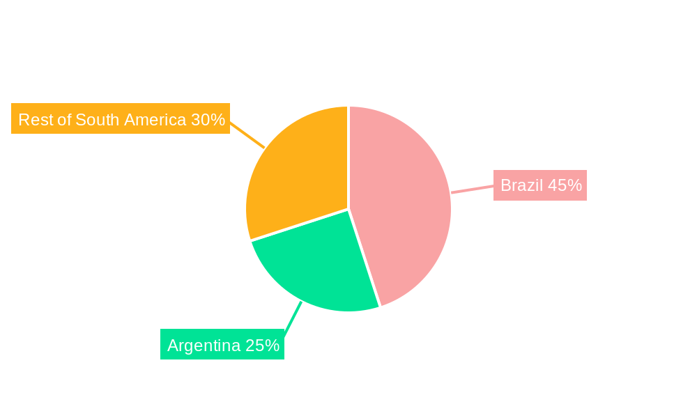 Latin America Hair Care Market Market Share by Region - Global Geographic Distribution