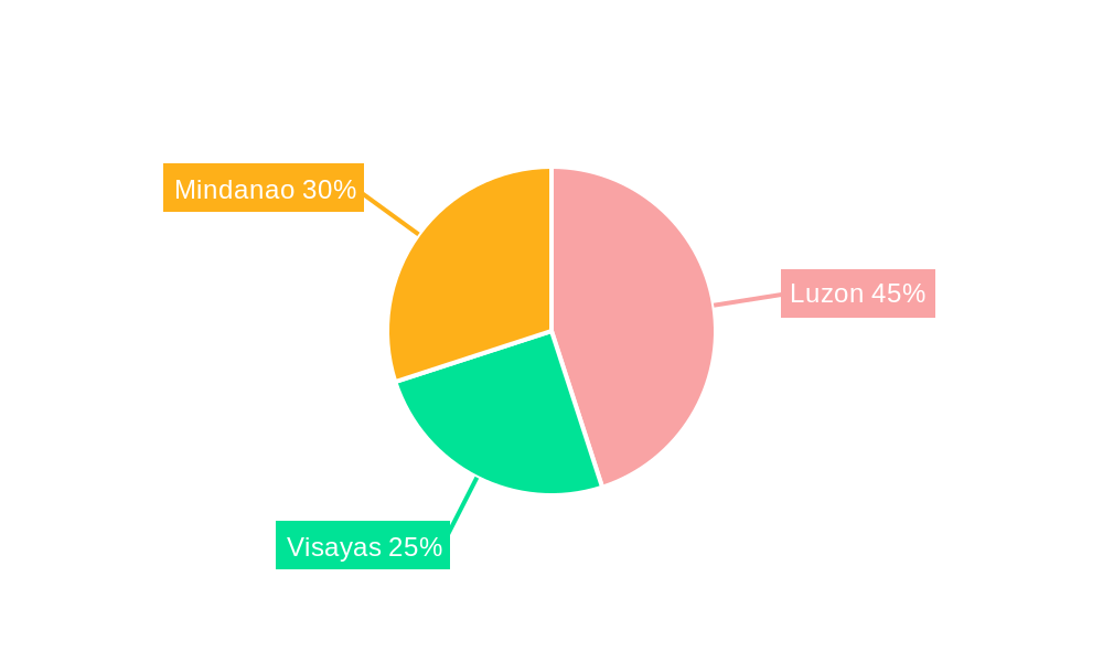Philippines E-commerce Market Market Share by Region - Global Geographic Distribution