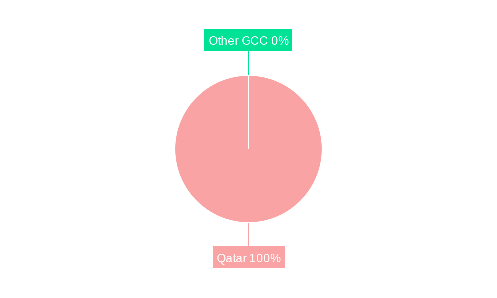 Qatar Retail Market Market Share by Region - Global Geographic Distribution