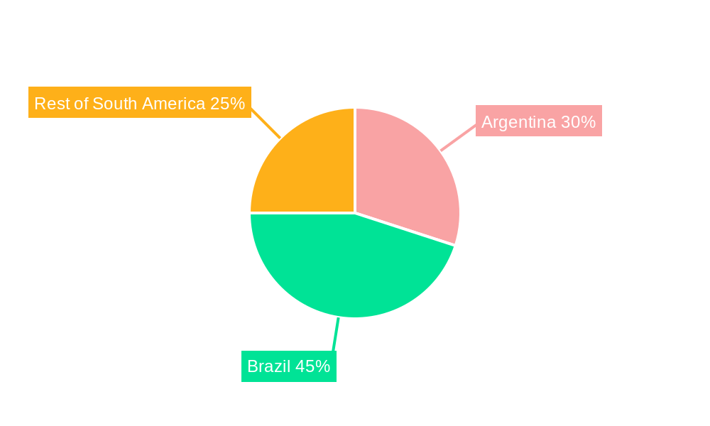 South America Feed Antibiotics Market Market Share by Region - Global Geographic Distribution