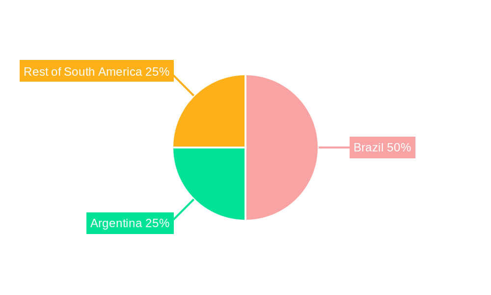 South America Pet Food Market Market Share by Region - Global Geographic Distribution