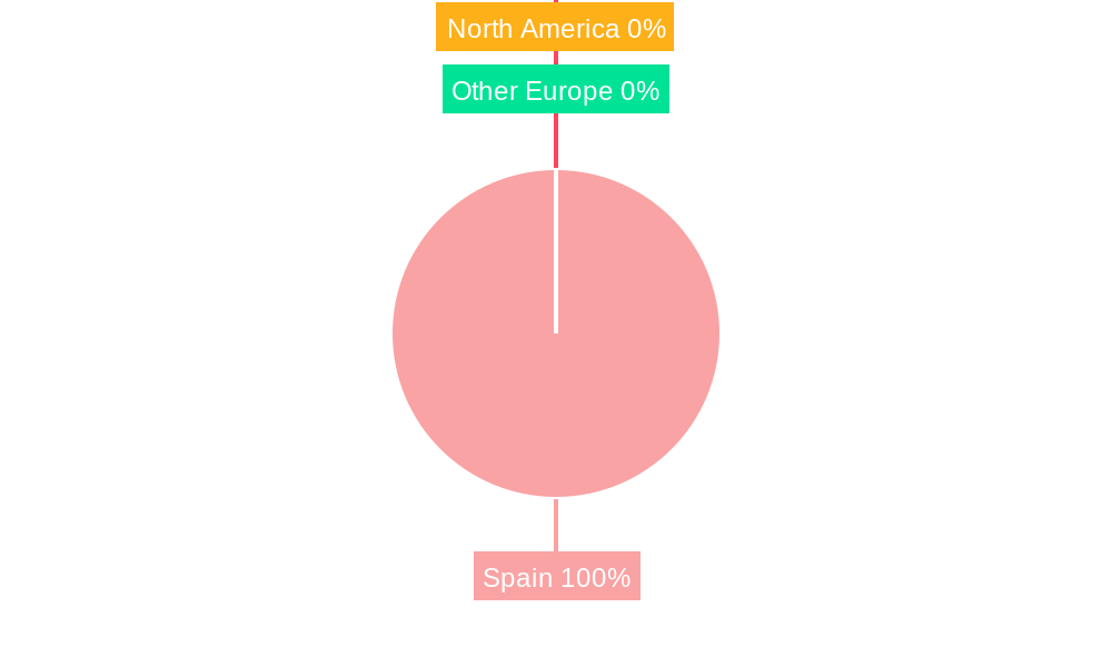 Spain Luxury Brand Market Market Share by Region - Global Geographic Distribution