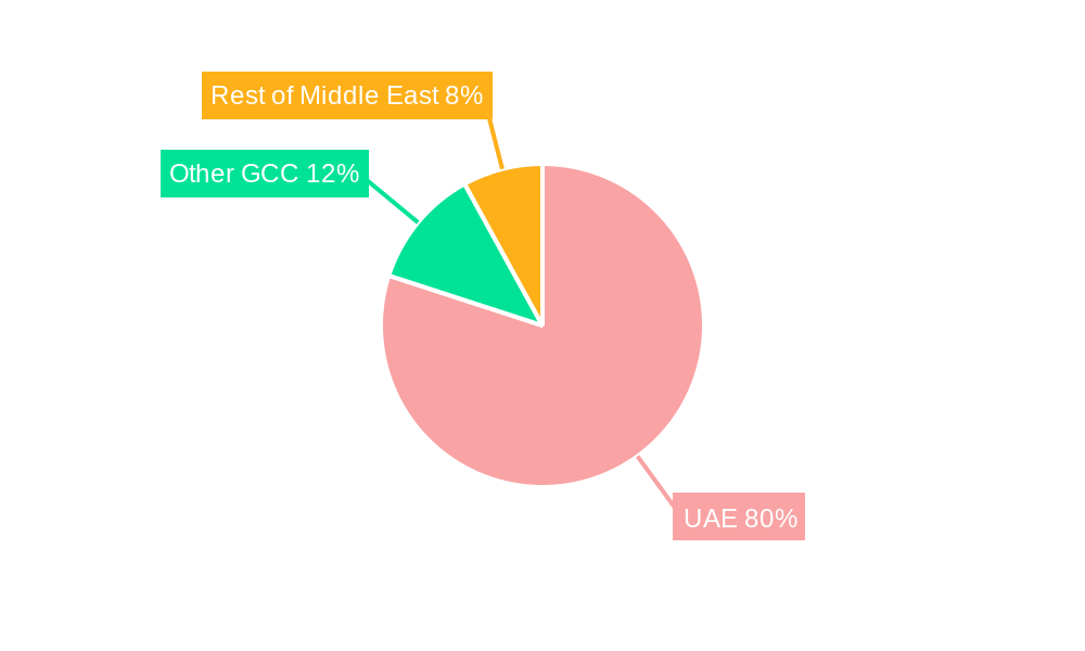 UAE Fintech Market Market Share by Region - Global Geographic Distribution
