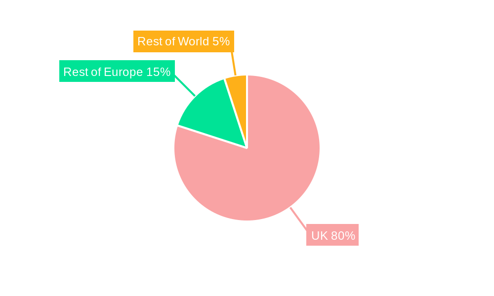 United Kingdom Online Travel Market Market Share by Region - Global Geographic Distribution