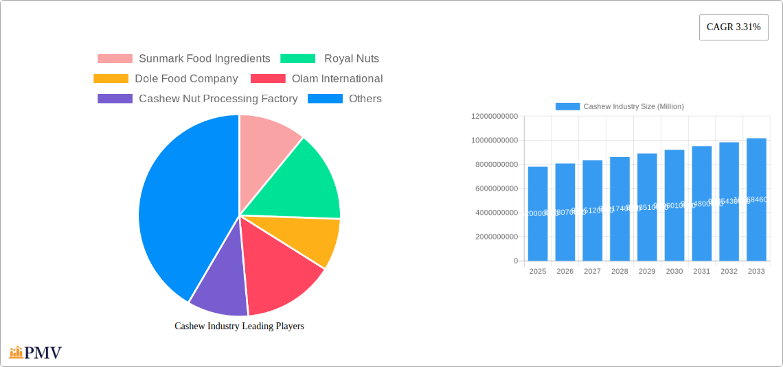 Cashew Industry Research Report - Market Overview and Key Insights