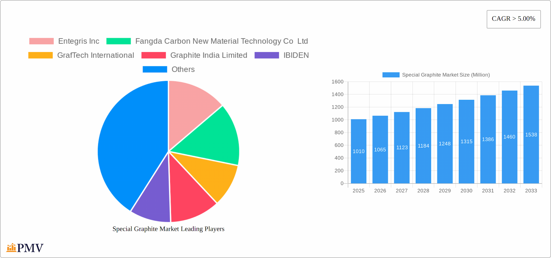 Special Graphite Market Research Report - Market Overview and Key Insights