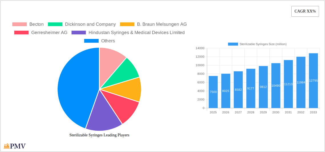 Sterilizable Syringes Research Report - Market Overview and Key Insights